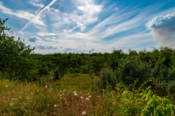 Ukraine, Krivoy Rog, the 16 of July 2020. Abandoned city park with beautiful clouds in the sky.