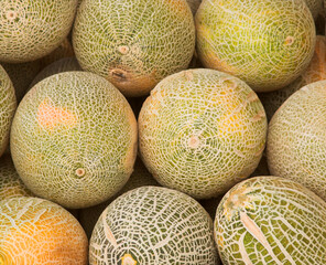 melons in market