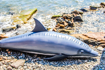 Obraz premium dolphin on the beach
