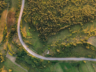 Aerial view top down from above on the country road in mountain range in between green grass and trees around - nature travel concept drone photo on Tresibaba in Europe Serbia in sunny summer day