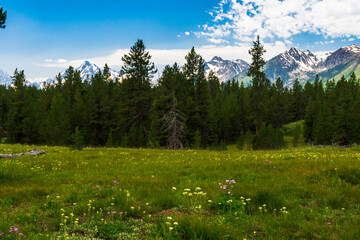 Grand Teton National Park, Wyoming