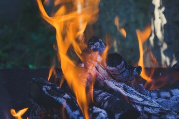 Flame of fire on a campfire in the grill.