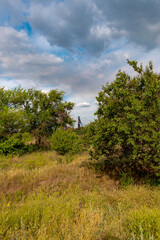 Ukraine, Krivoy Rog, the 16 of July 2020. Abandoned city park with beautiful clouds in the sky.