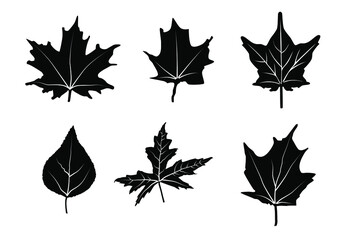 Set of autumn leaves. Vector silhouette illustration of different maple leaves and other trees. Use for patterns, cards, poster design element, package, advertising.