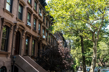 Brownstones in the city 
