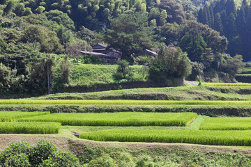 山間の田園風景	