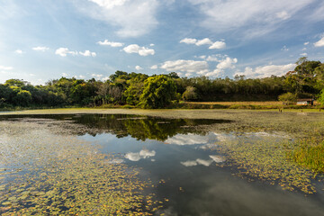 Lago com vegetação e reflexo das nuvens 