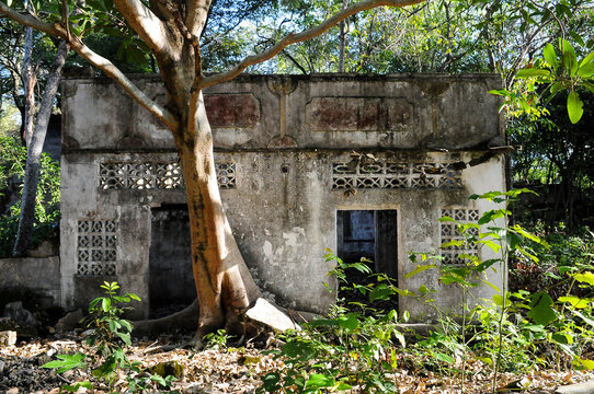 Armero ruinas Tolima