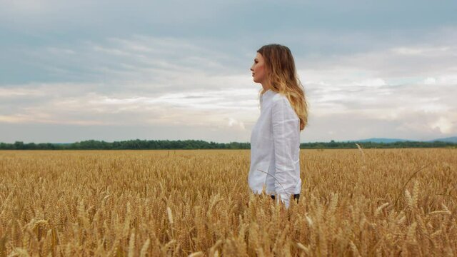 A young girl walking through a field wheat ears. Beautiful carefree woman enjoying nature and touching with hand in wheat field