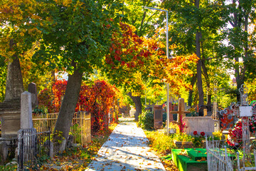 sunny autumn day, cemetery alley path way