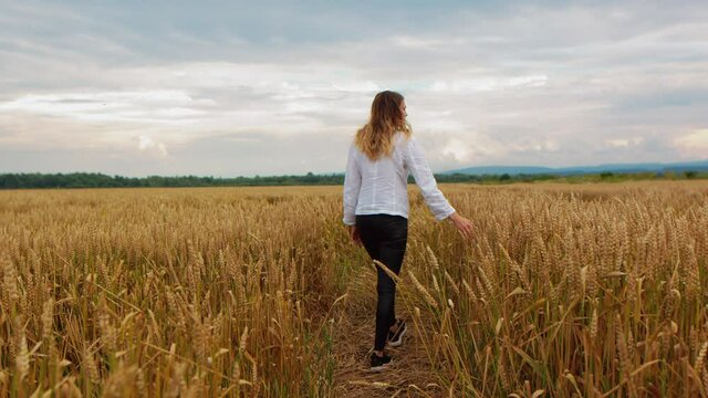 A young girl walking through a field wheat ears. Beautiful carefree woman enjoying nature and touching with hand in wheat field