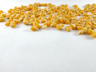 top view of corn kernels on a white background
