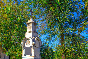Tombstones in cemetery among green plants. Old graves in graveyard. Gothic  tombstone in autumn...