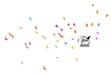 Bird watercolor. A flock of colorful birds. Mixed media. Vector illustration