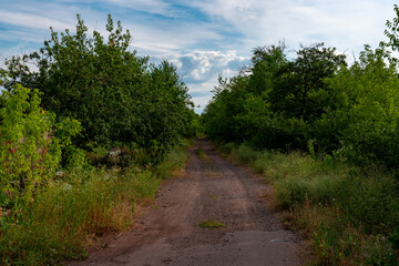 Fototapeta na wymiar Ukraine, Krivoy Rog, the 16 of July 2020. The road to the abandoned mine settlement. 