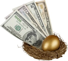 Nest egg.