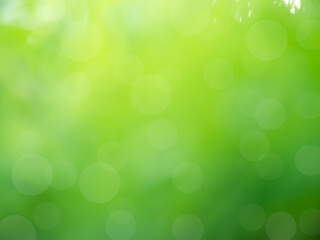 Bokeh abstract green for background.