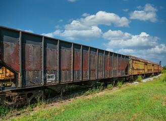 Fototapeta na wymiar Rusty Train Cars on Track in a Grassy Field