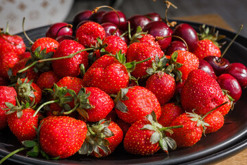 wood fence with vintage door handle