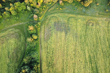 Aerial landscape view - summer field with forest border.