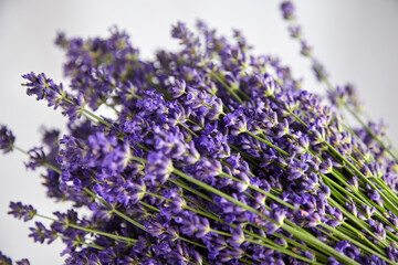Closeup of fresh natural lavender flowers bouquet