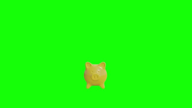 4K Realistic Yellow Piggy bank with Green Screen Background.