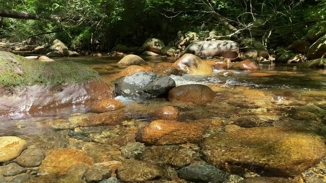 Small mountain creek in Vancouver, Canada.
