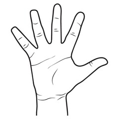 Fototapeta premium hand