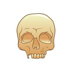 skull