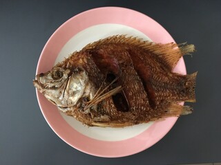 fish in a glass bowl