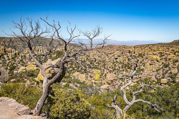Fototapeta na wymiar Chiricahua National Monument
