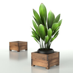 Wooden Raised Garden Beds. 3D Rendering. Wood box for grow