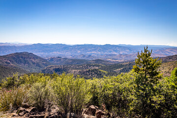 Coronado Trail Scenic Byway View