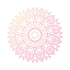 decorative floral pink mandala ethnicity artistic icon