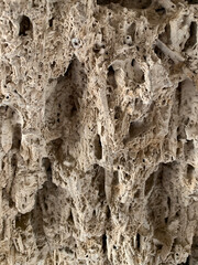 abstract textured stone beige brown natural background