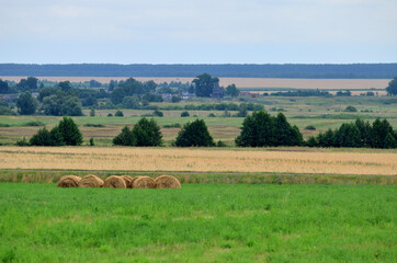 Fototapeta na wymiar landscape, bales of hay on a green field against the background of a wheat field with a prospect far into the distance where you can see the village