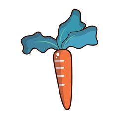 carrot
