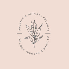 botanical logo template