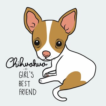 Chihuahua is girl's best friend, Chihuahua dog cartoon vector illustration