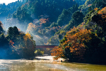【千葉県 君津市】紅葉名所の亀山湖