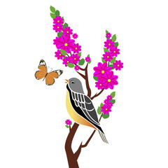 bird and butterflies