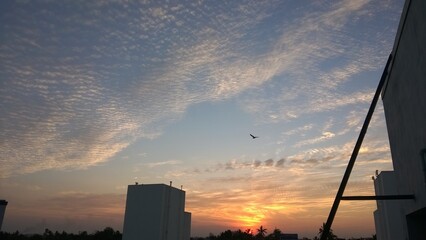 sunset in the city