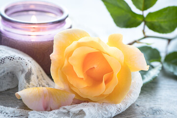Yellow rose with purple candle on lace. Spa setting or Mother’s Day and Valentine’s Day concept.