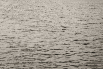 Monochrome water surface background. Calm water texture black and white image