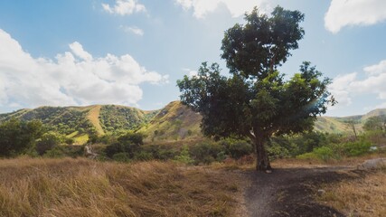 Dry landscape in Sumba Indonesia - July 2019