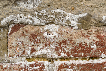 Element of an old brick wall. Red brick and concrete. Strong discharge of white salt, peeling of the surface. Close-up.