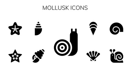 mollusk icon set
