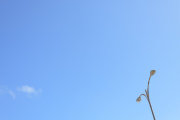wind turbine in the sky
