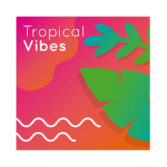 tropical vibes colorful banner with leafs plant