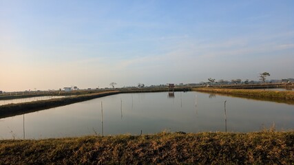 Fototapeta na wymiar Natural view of fish ponds and beautiful blue sky when in morning